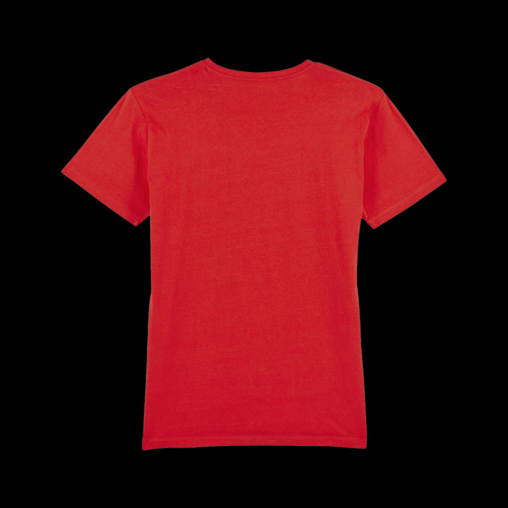 Men's Eco-Premium V-Neck T-Shirt | Stanley/Stella Presenter STTM562